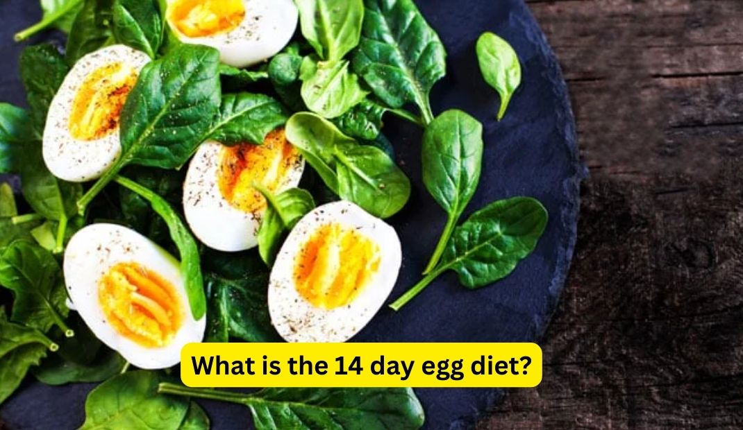 What is the 14 day egg diet?